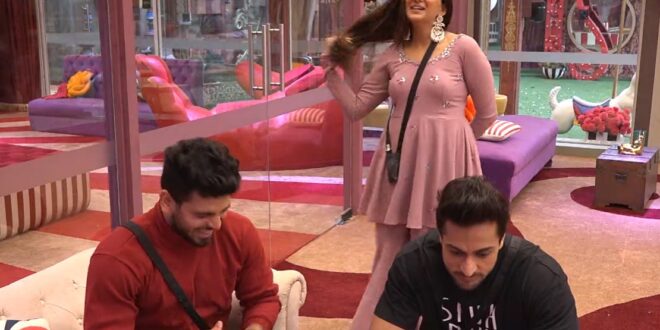 Bigg Boss 16 20th October 2022