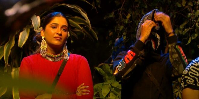 Bigg Boss 16 25th January 2023