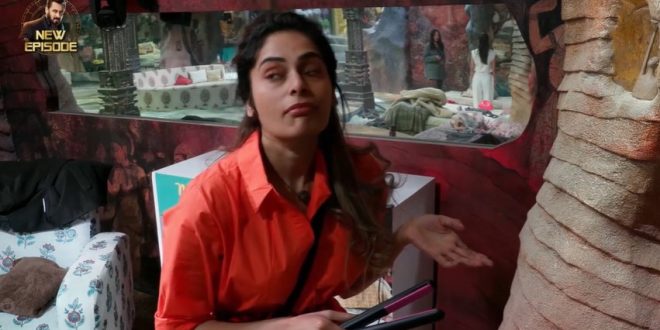 Bigg Boss 18 3rd December 2024