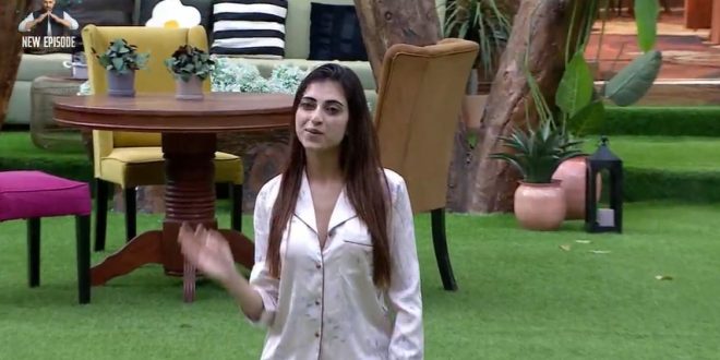 Bigg Boss 19 4th November 2025