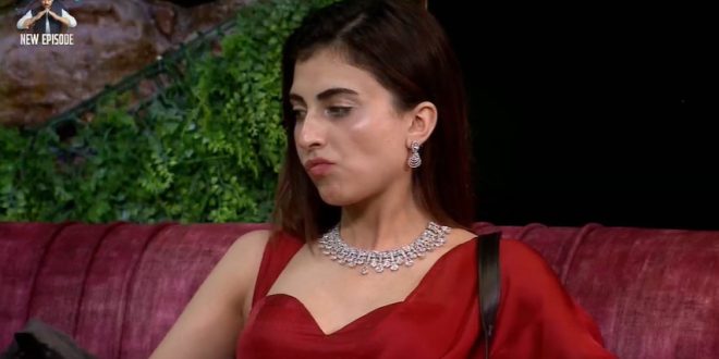 Bigg Boss 19 18th November 2025